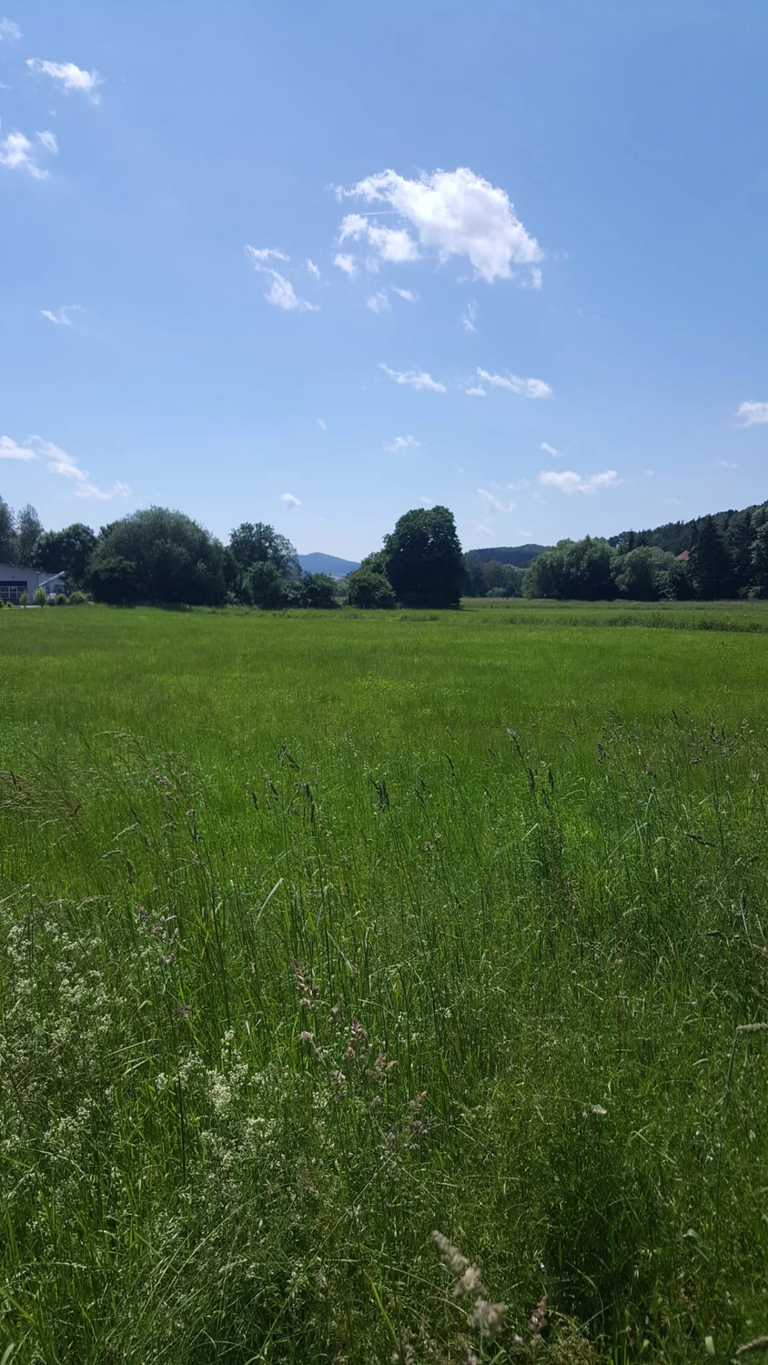 Haus & Handel - Immobilien - Gewerbegrundstück in 93437 Furth im Wald zu verkaufen