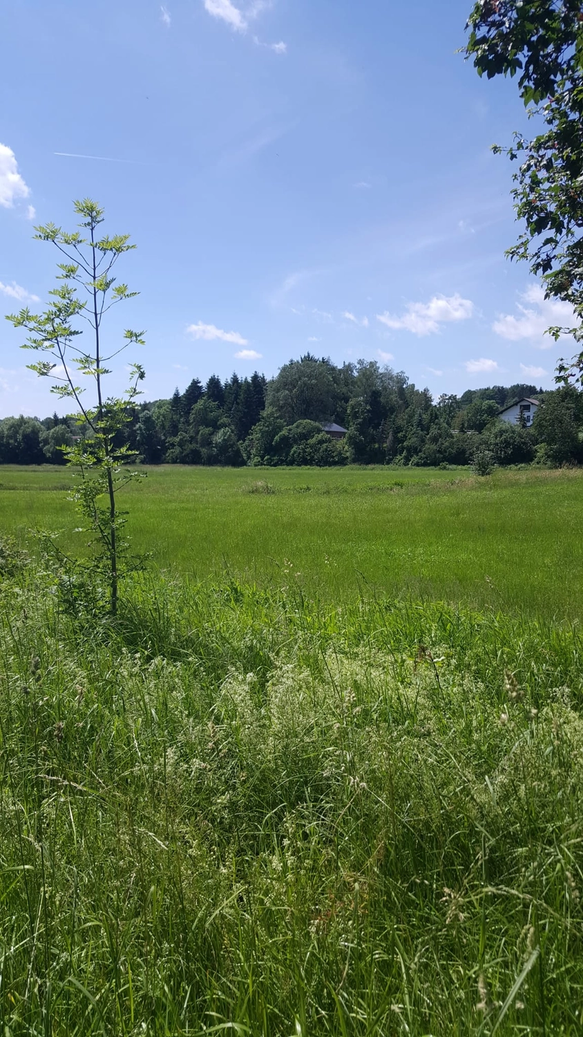 Haus & Handel - Immobilien - Gewerbegrundstück in 93437 Furth im Wald zu verkaufen