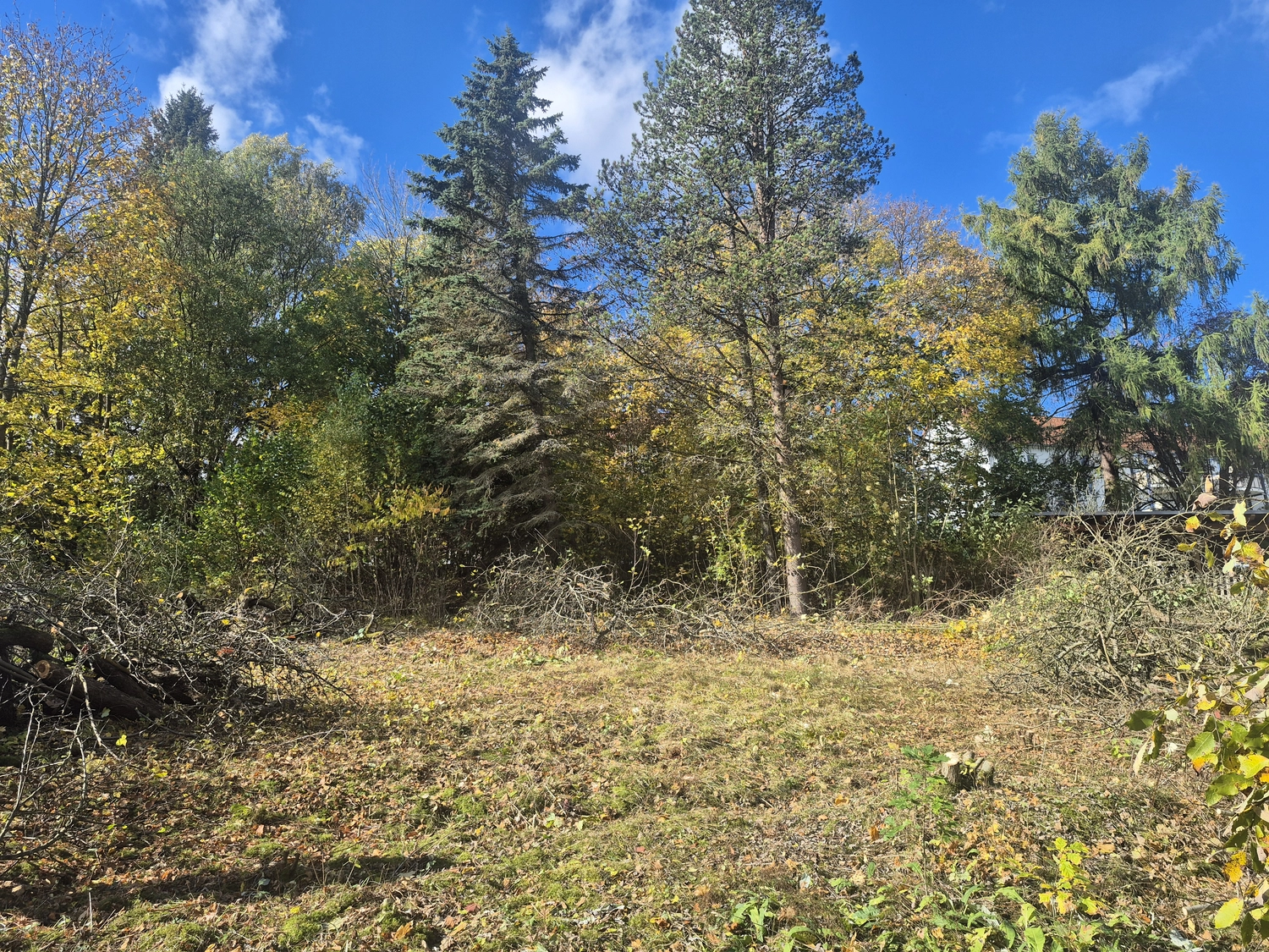 Haus & Handel - Immobilien - Baugrundstück, erschlossen, in 08626 Adorf/Vogtland, zu verkaufen